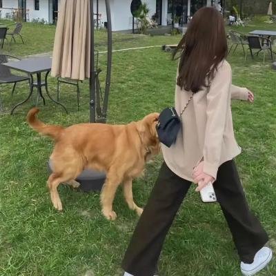 光荣的追寻第一季
